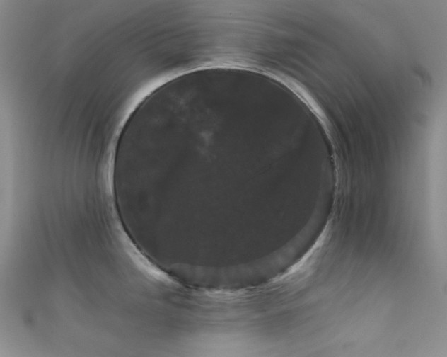 X0000111861246200907231445