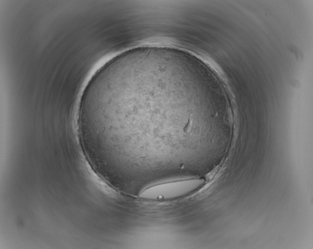 X0000111861248200907231445