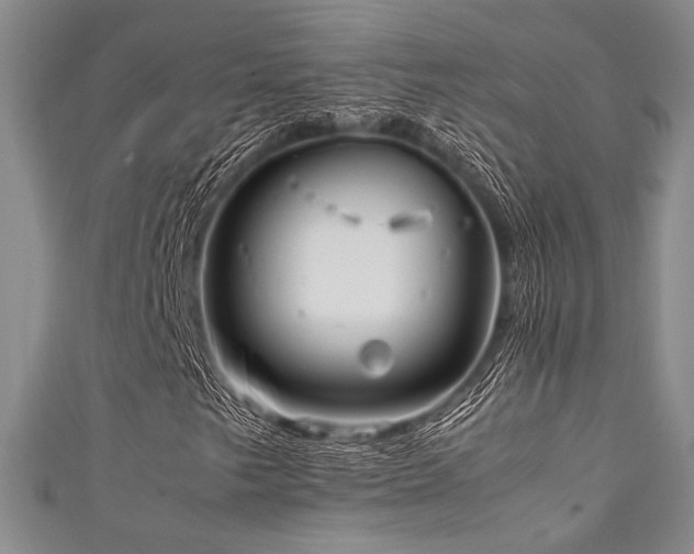 X0000111861249200907231445