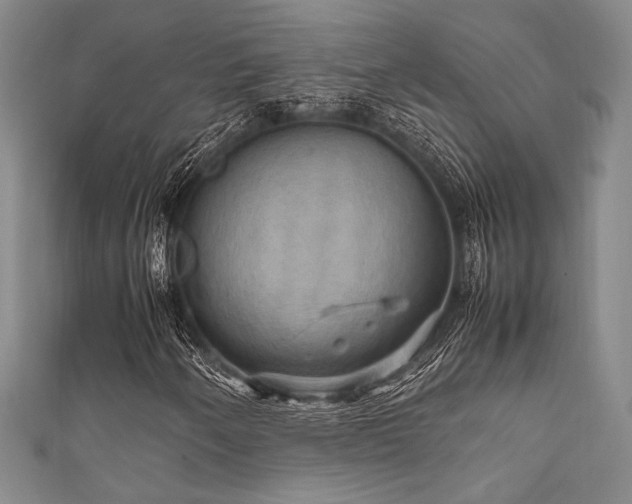 X0000111861250200907231445