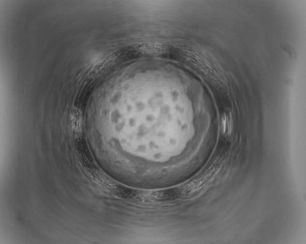 X0000111861251200907231445
