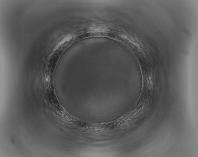 X0000111861254200907231445