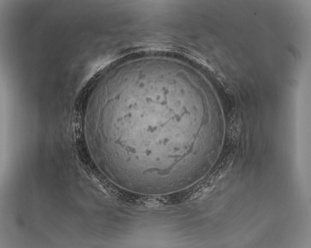 X0000111861255200907231445