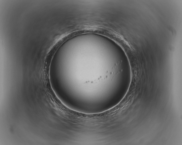 X0000111861256200907231445