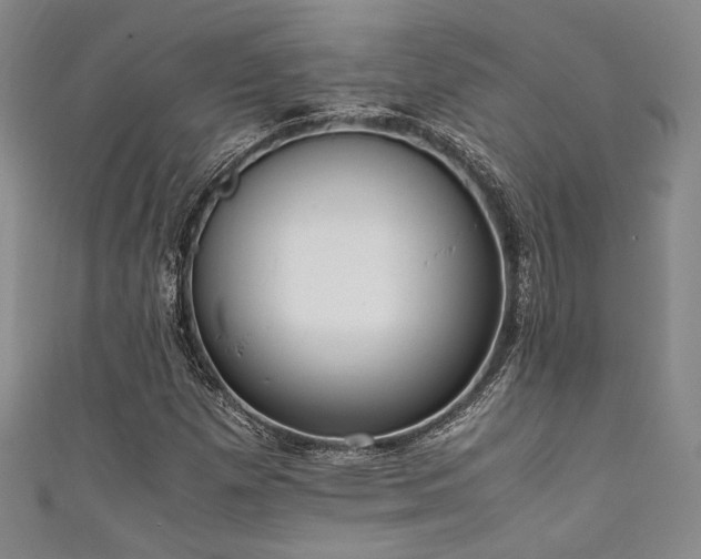 X0000111861257200907231445