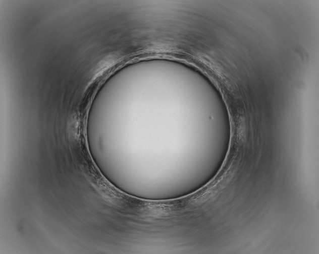 X0000111861258200907231445