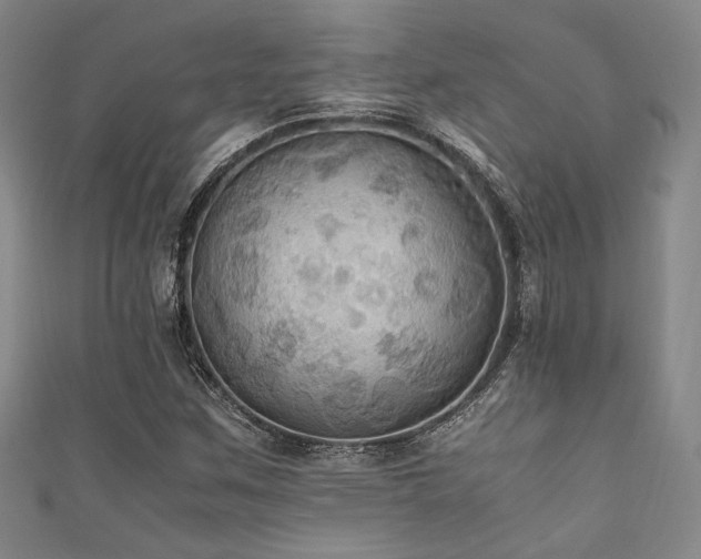 X0000111861259200907231445
