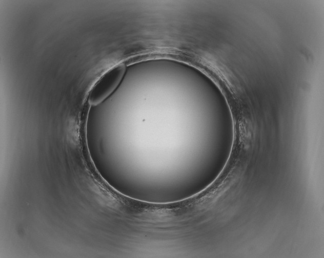 X0000111861260200907231445