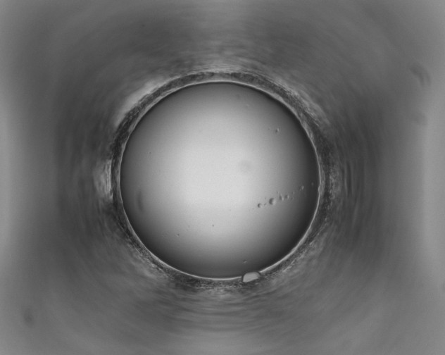 X0000111861262200907231444