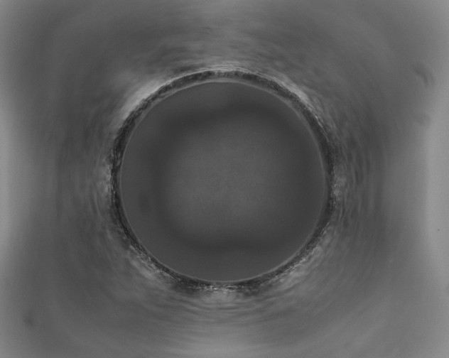 X0000111861263200907231444