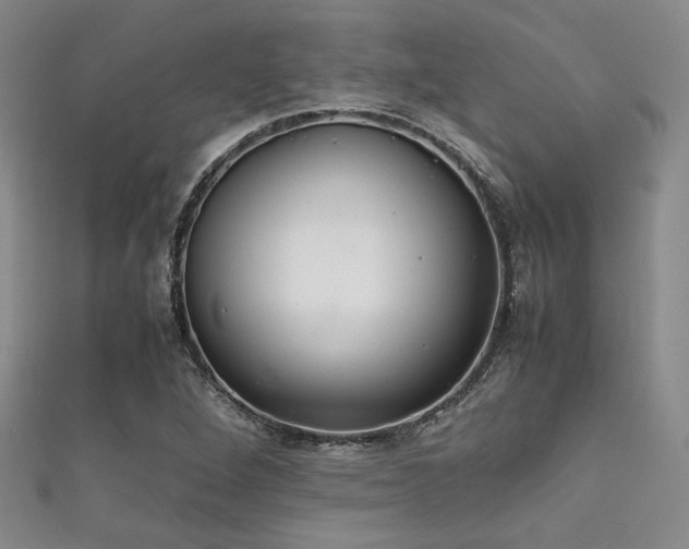 X0000111861264200907231444