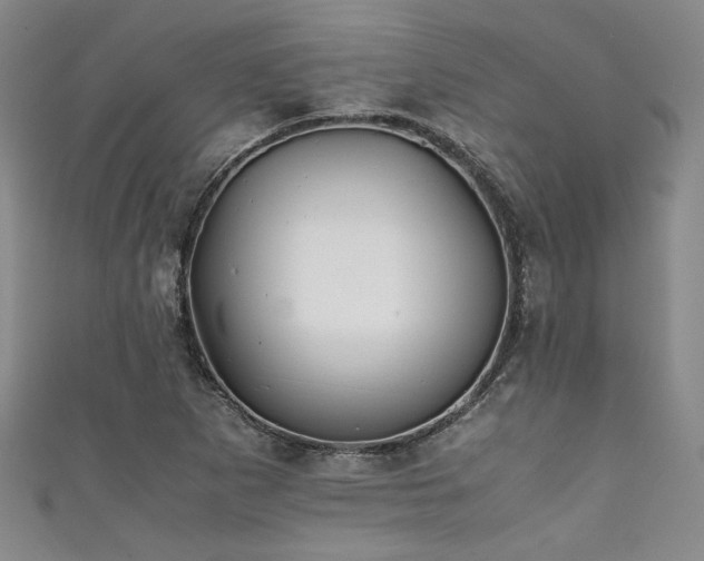 X0000111861265200907231444