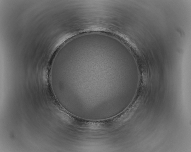 X0000111861266200907231444