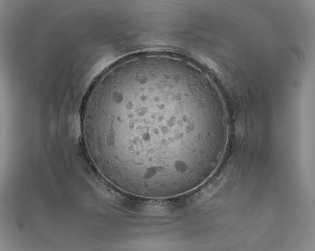 X0000111861267200907231444
