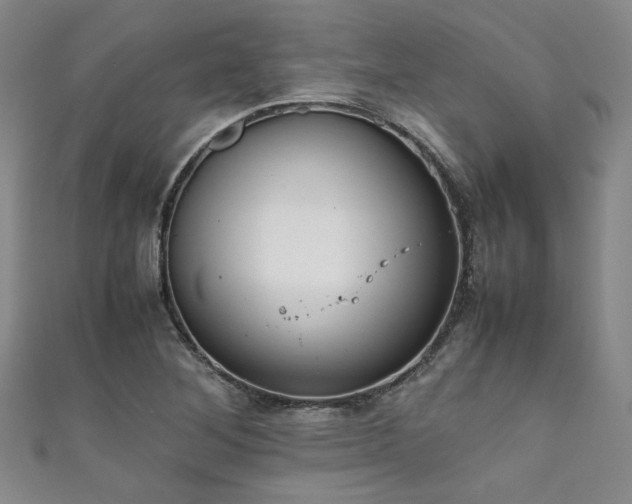 X0000111861268200907231444