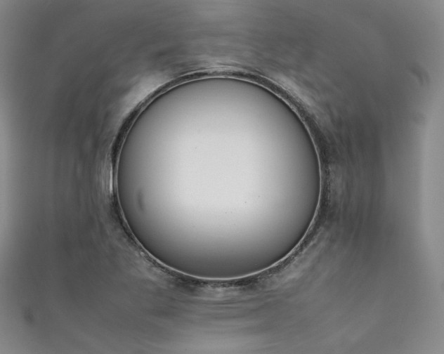 X0000111861269200907231444