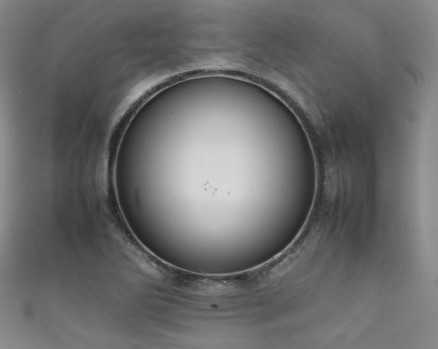 X0000111861270200907231444