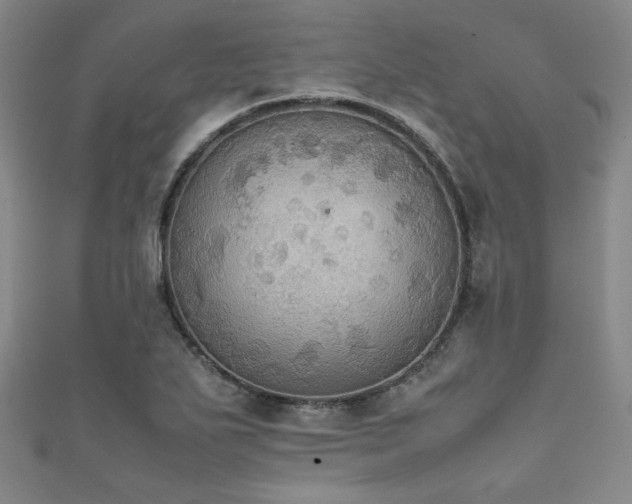 X0000111861271200907231444