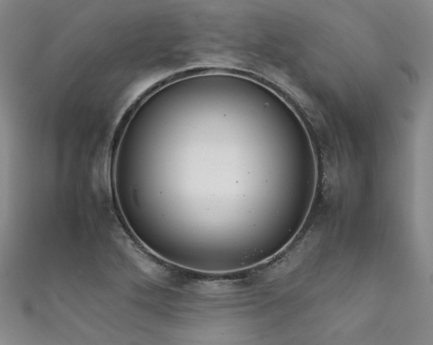 X0000111861272200907231444
