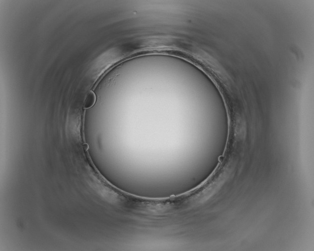 X0000111861273200907231444