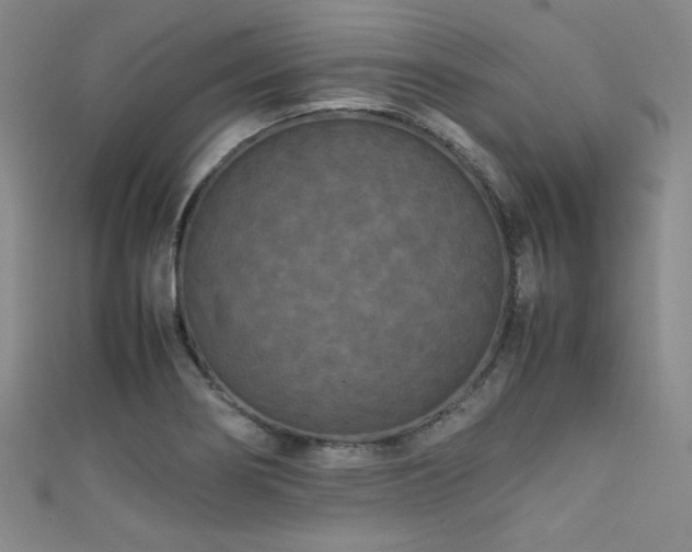 X0000111861274200907231444