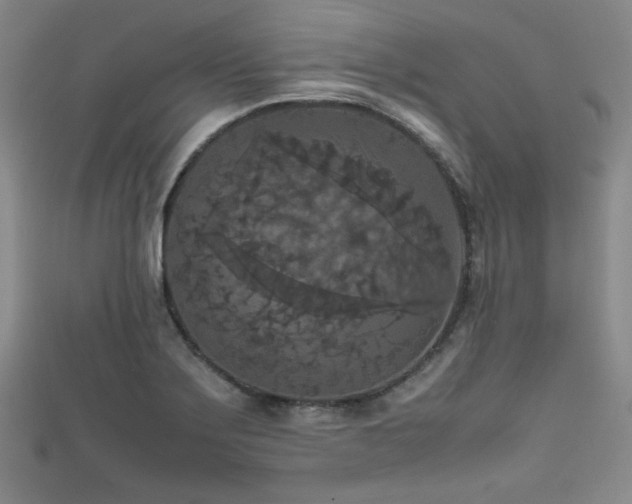 X0000111861275200907231444