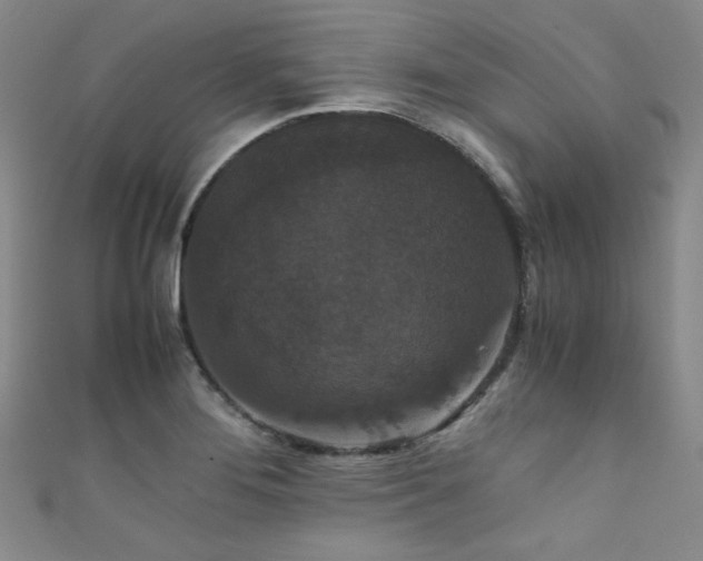 X0000111861276200907231444