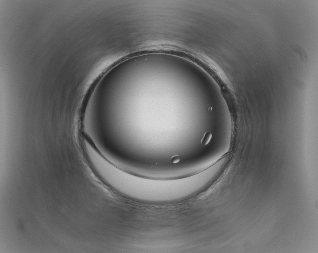 X0000111861277200907231444