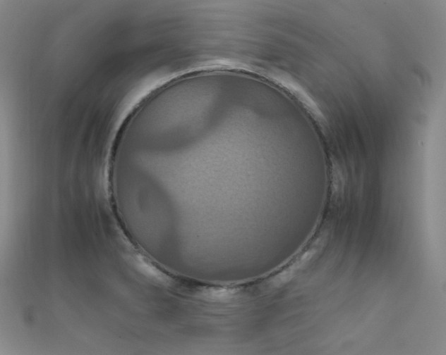 X0000111861278200907231444