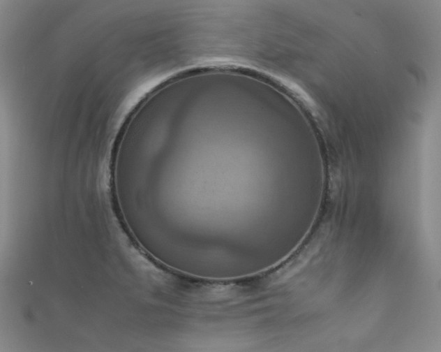X0000111861279200907231444