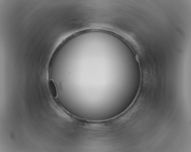 X0000111861280200907231444