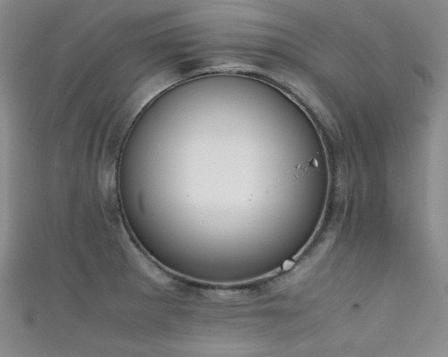 X0000111861281200907231444