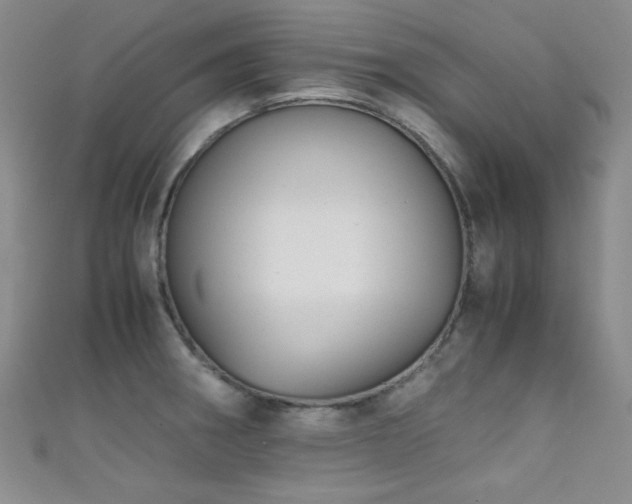 X0000111861282200907231444