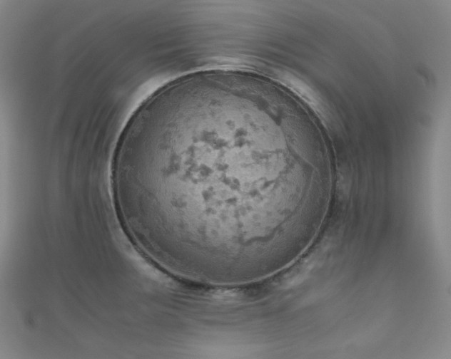 X0000111861283200907231444