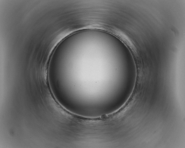 X0000111861284200907231444