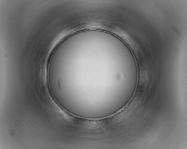 X0000111861286200907231444