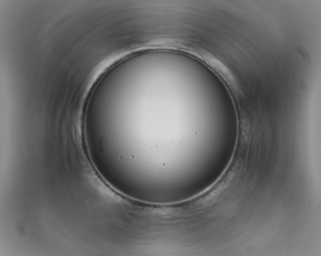 X0000111861288200907231444