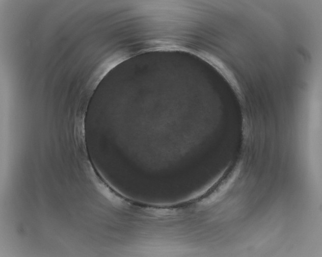 X0000111861289200907231444