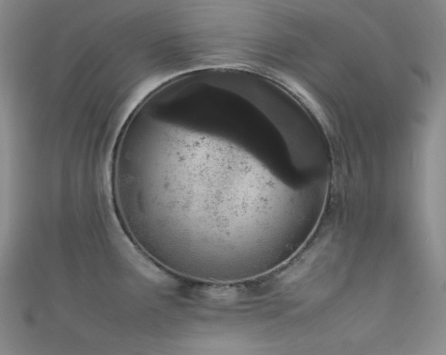 X0000111861291200907231444