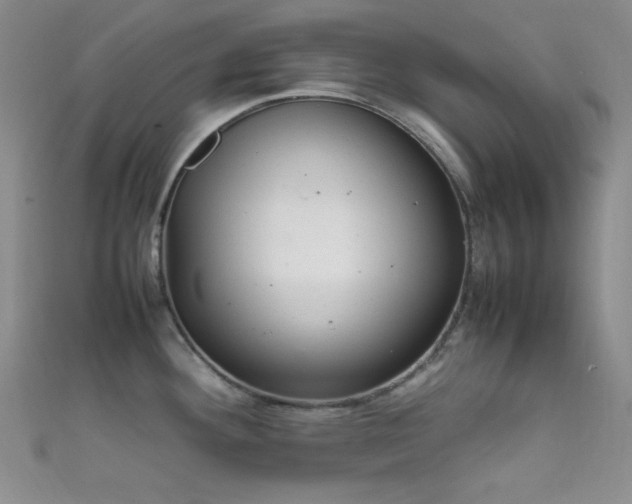 X0000111861292200907231444