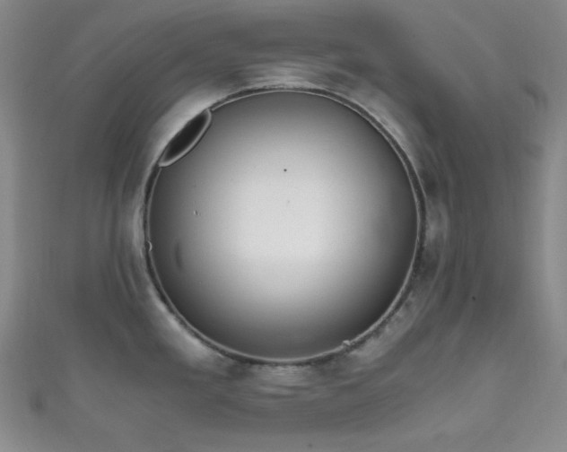 X0000111861293200907231444