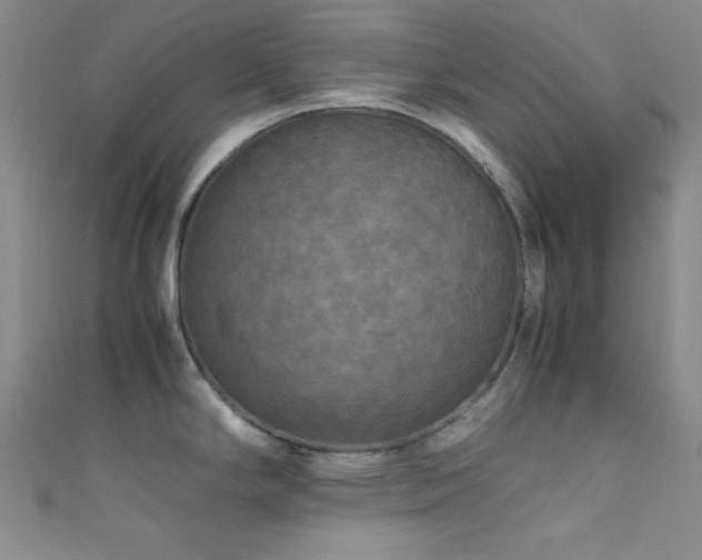 X0000111861294200907231444