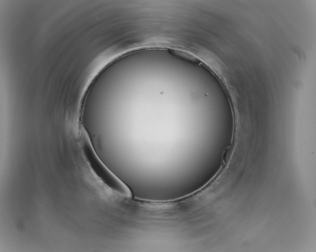 X0000111861296200907231444
