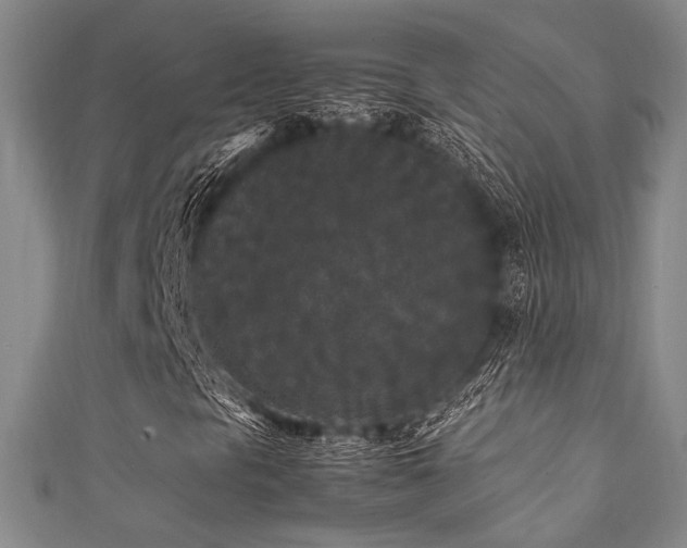 X0000111861297200907231443