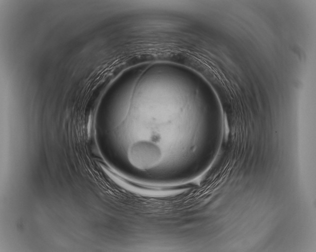 X0000111861298200907231443