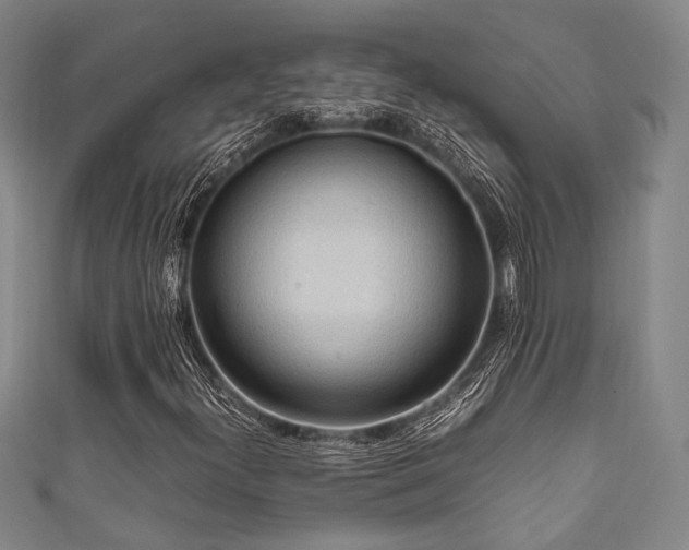 X0000111861300200907231443