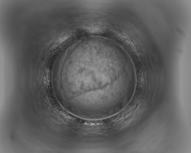 X0000111861301200907231443