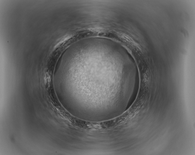 X0000111861302200907231443