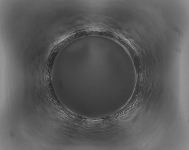 X0000111861303200907231443
