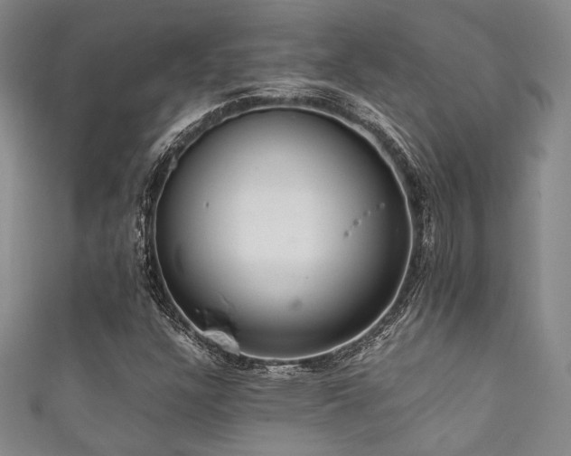 X0000111861304200907231443